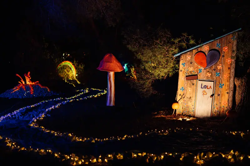 Sentiero luminoso con casetta e fungo