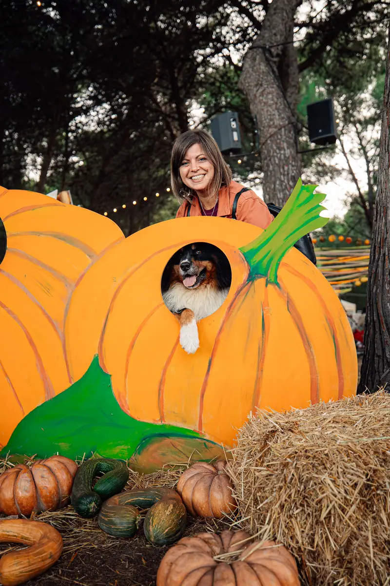 Photo spot zucca gigante con cane