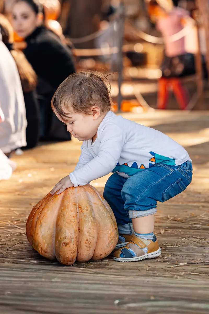 Bimbo spinge grande zucca