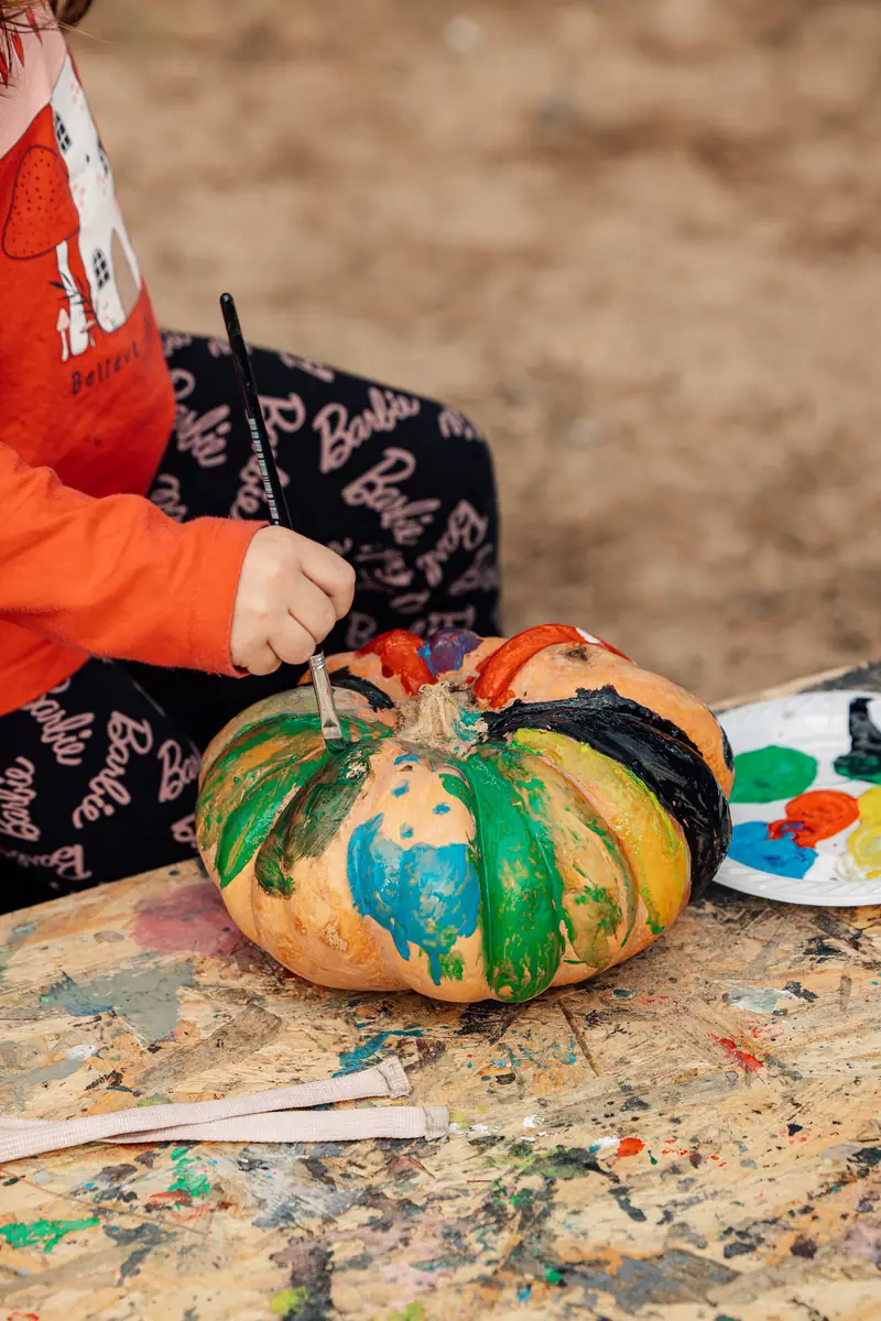 Zucca colorata dipinta, dettaglio