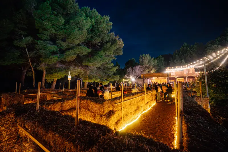 Labirinto di paglia illuminato notte