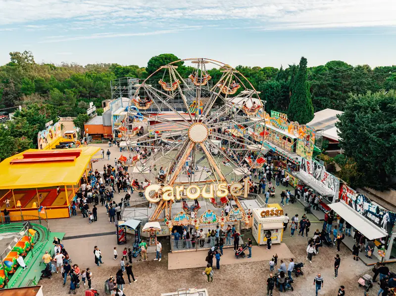 Vista dall’alto: ruota panoramica e Carousel